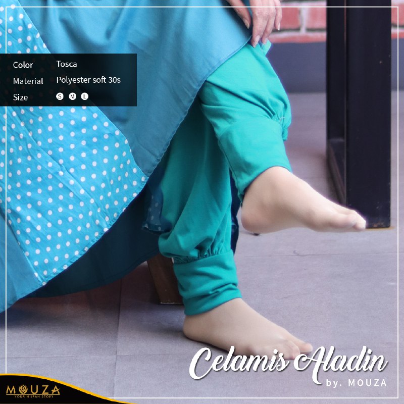 Celamis Aladin